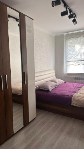 Двухкомнатная квартира в центре Шымкента, Schymkent